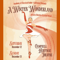 Academy of Classical Ballet - A Winter Wonderland