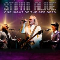 Stayin' Alive: One Night of the Bee Gees